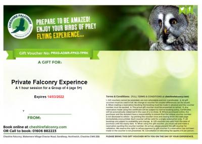 Private Falconry Experience